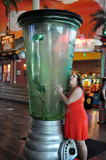 giant blender.jpg