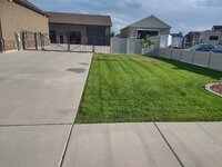 julylawn2.jpg julylawn2.jpg