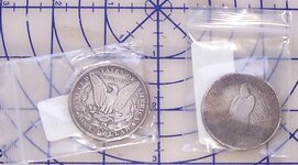 Y5 Silver dollars.jpg