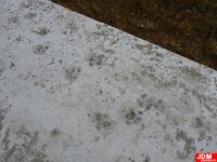 P1210203-Kopie.jpg