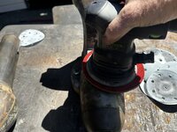 IMG_5221.jpeg IMG_5221.jpeg