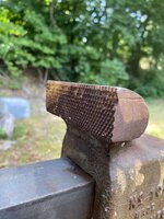 IMG_4646.jpeg