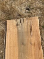 IMG_7821.jpeg