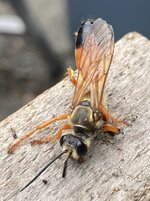 IMG_7808.jpeg