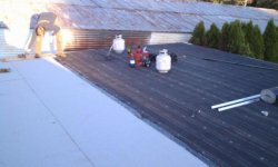 roof.jpg