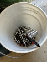 IMG_8446.jpeg
