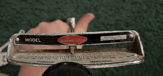 IMG_1949.jpeg