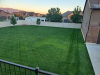home6.jpg