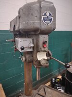 IMG_20230814_110649805.jpg