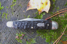 Scrade Whittler 1.JPG Scrade Whittler 1.JPG