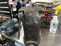 IMG_4844.jpeg
