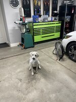 9B458342-E518-4E35-B352-CAD2334500D2.jpeg