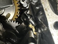 IMG_5791.jpeg
