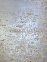 IMG_0711.jpg IMG_0711.jpg