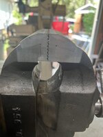 IMG_4264.jpeg