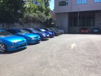 IMG-9201.jpg