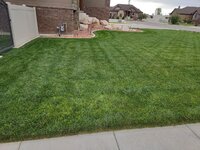 yard1.jpg yard1.jpg