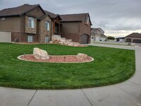 yard2.jpg yard2.jpg