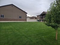 yard7.jpg yard7.jpg