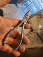 20230819_181139.jpg