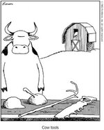 Cow_Tools_cartoon.jpg Cow_Tools_cartoon.jpg