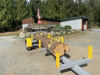 IMG_7990.jpeg
