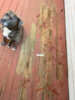 IMG_3266.jpeg