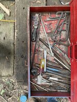 IMG_2011.jpeg