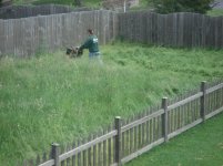 lawn01.jpg