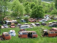 VW pasture.jpg