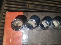 IMG_20230827_190304.jpg