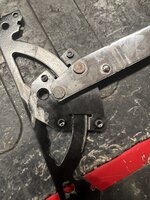 IMG_6798.jpeg IMG_6798.jpeg
