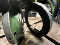 IMG_6231.jpeg