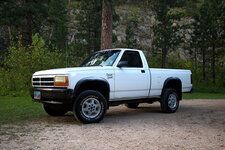 IMG-7270-orig.jpg