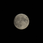 IMG_7396cropped.png