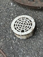 IMG_2958.jpeg