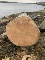 IMG_8102.jpeg