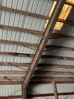 IMG_7555.jpeg