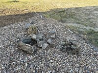 IMG_1909.jpeg IMG_1909.jpeg