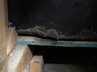 IMG_5348.jpg