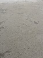 IMG_0017.JPG IMG_0017.JPG