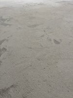 IMG_0018.JPG IMG_0018.JPG