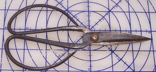B pruners.jpg