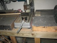 IMG_9776 (Large).JPG