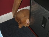 DSCF4993.jpg