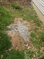 20230311_104022.jpg