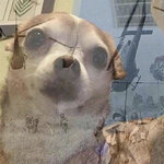 IMG_7514.jpeg