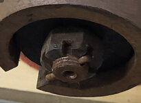 IMG_7515.jpeg IMG_7515.jpeg
