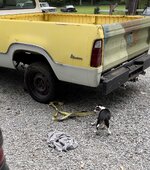 IMG_2498.jpeg