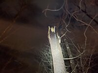 IMG_4505.jpeg
